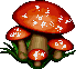 Champignon